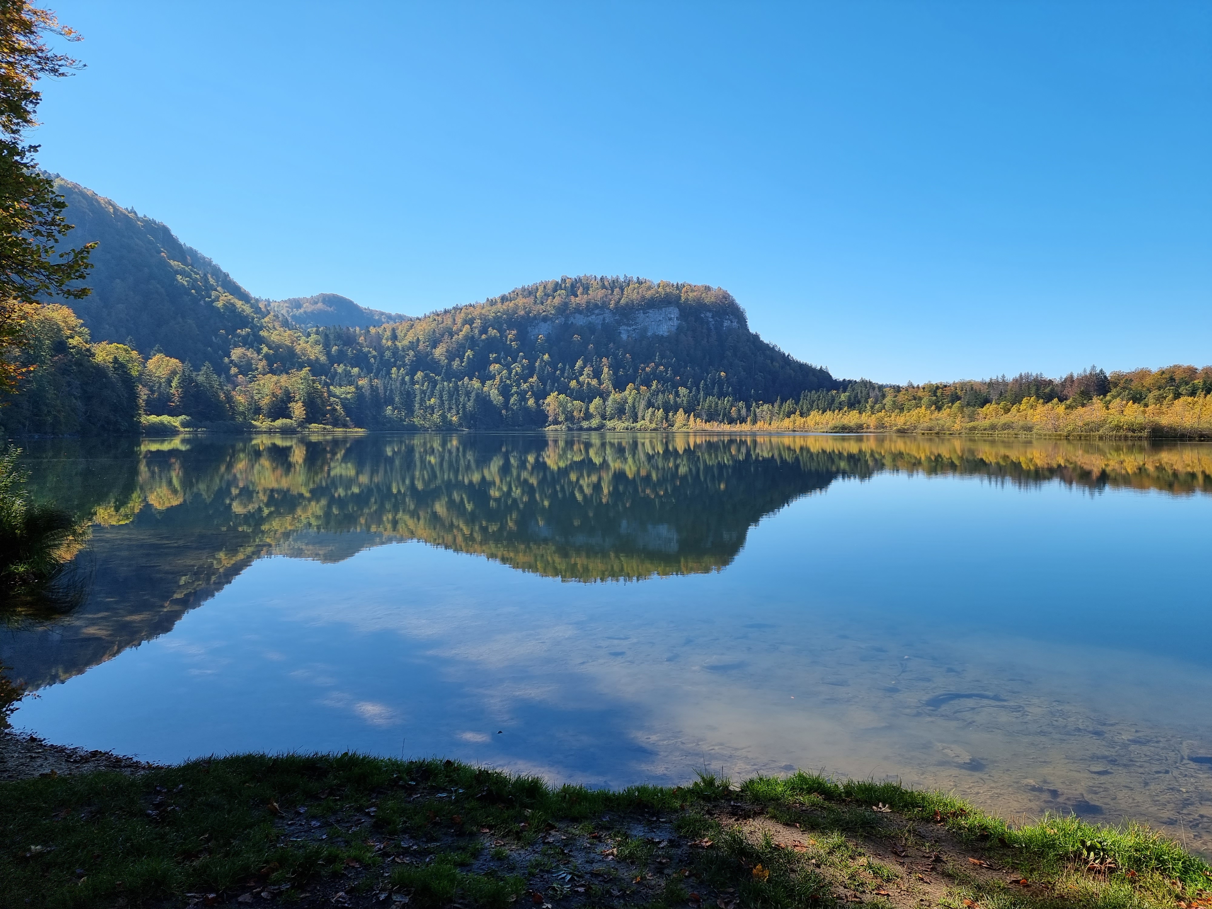 Photo n° 14 de l'avis de Viktória.i fait le 16/10/2021 à 14:46