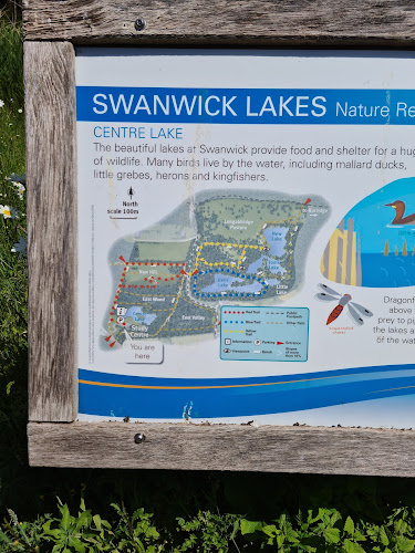Reviews of Swanwick Lakes Nature Reserve in Southampton - Other