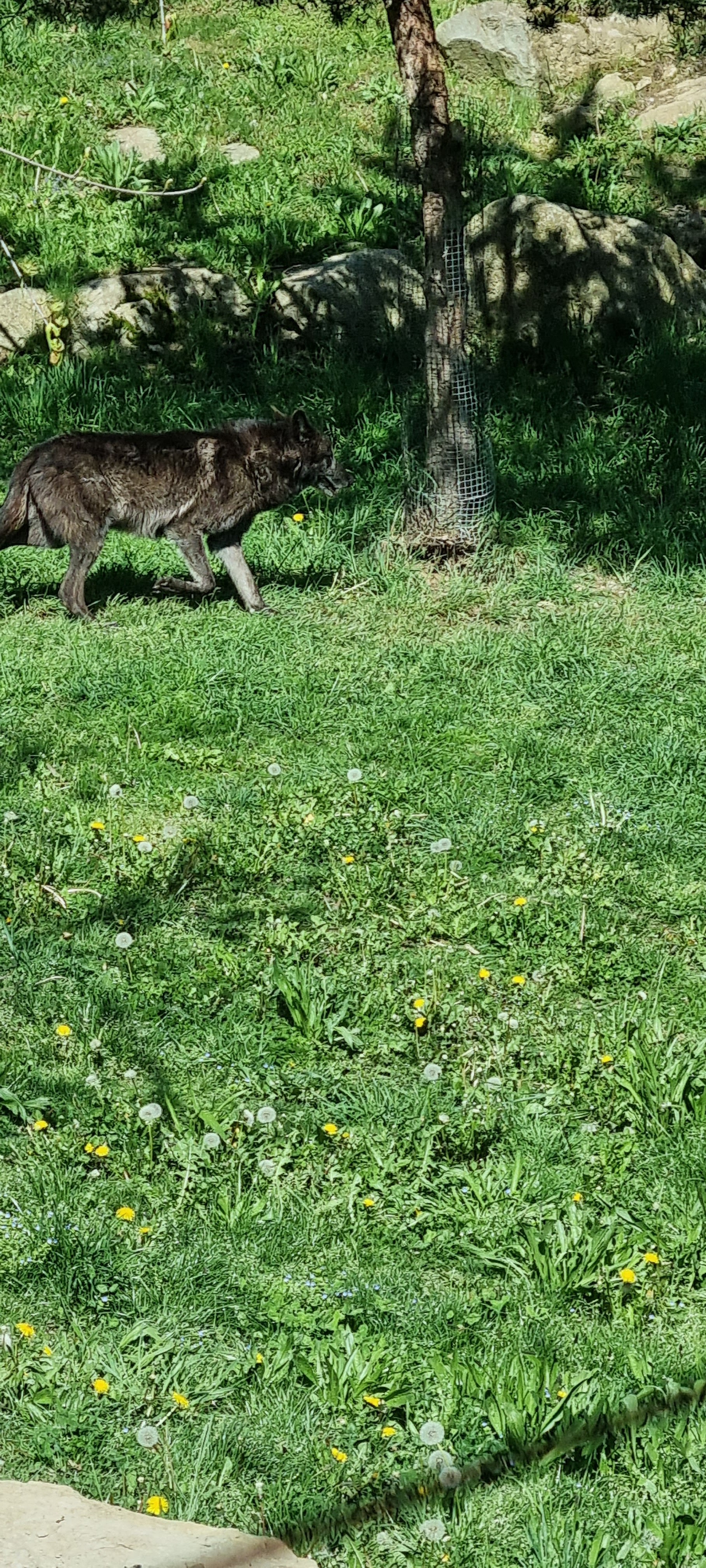 Photo n° 49 de l'avis de Anne.a fait le 25/04/2022 à 13:04