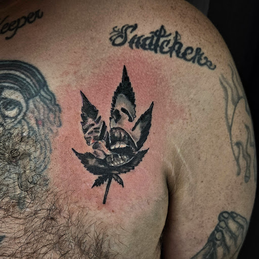 Explore acotar tattoo ideas, creative tattoo ideas in Cumberland, available at Queen City Ink