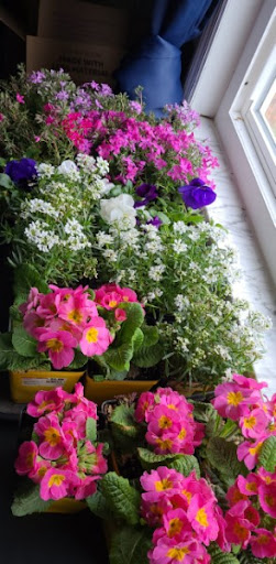 Home Improvement Store «The Home Depot», reviews and photos, 6562 Winford Ave, Hamilton, OH 45011, USA