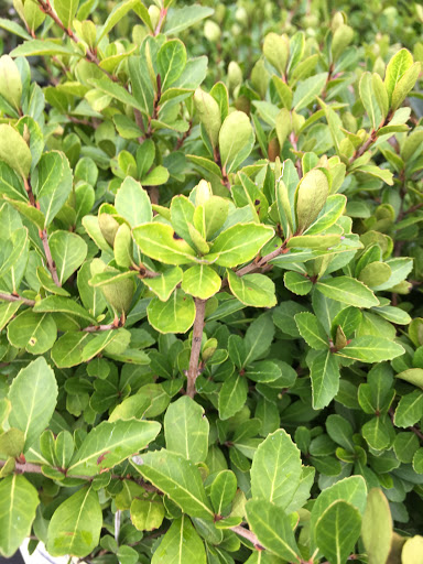 Home Improvement Store «The Home Depot», reviews and photos, 4385 Commons Dr W, Destin, FL 32541, USA