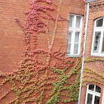 Photo n°5 de l'avis de Edit.a fait le 17/10/2019 à 06:30 sur le  martas Hotel Berlin Mitte à Berlin