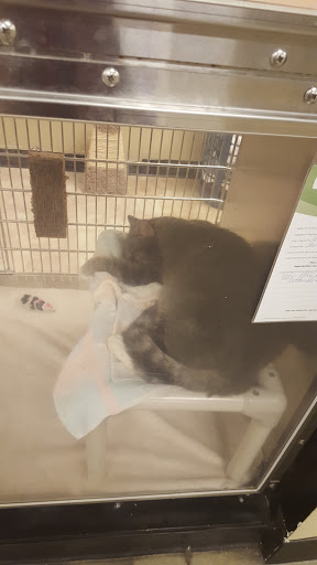 Pet Supply Store «PetSmart», reviews and photos, 1559 Merritt Blvd, Dundalk, MD 21222, USA
