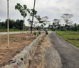 Spot foto photo