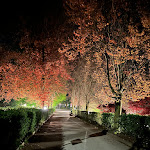 Photo n°5 de l'avis de Eluana.e fait le 25/04/2023 à 14:22 sur le  Grand Hotel Imperial Levico Terme à Levico Terme