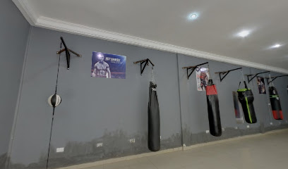 Alpha Male Boxing And Sports Academy - Duplex Entertainment centre, Serrekunda, Gambia