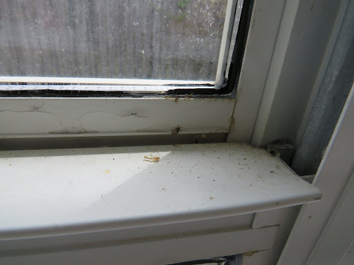 House Cleaning Service «Two Maids & A Mop», reviews and photos, 119 Hollywood Blvd SW #206, Fort Walton Beach, FL 32548, USA