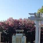 Photo n°16 de l'avis de Florica.h fait le 12/06/2019 à 20:07 sur le  Eurotel à Grottammare