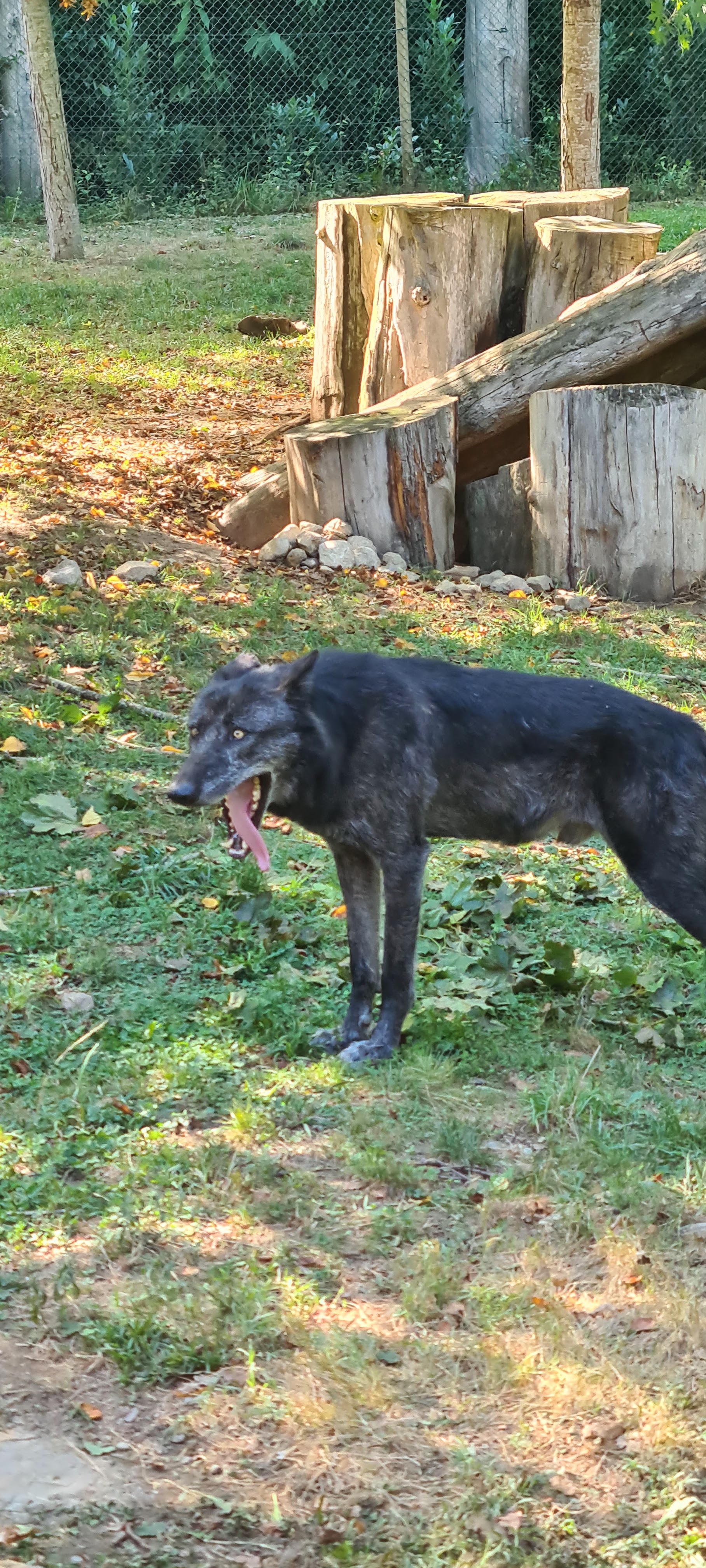 Photo n° 9 de l'avis de Jacky.r fait le 18/09/2022 à 05:13