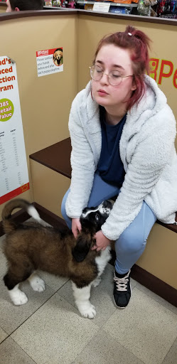 Pet Store «Petland», reviews and photos, 977 E State St, Athens, OH 45701, USA