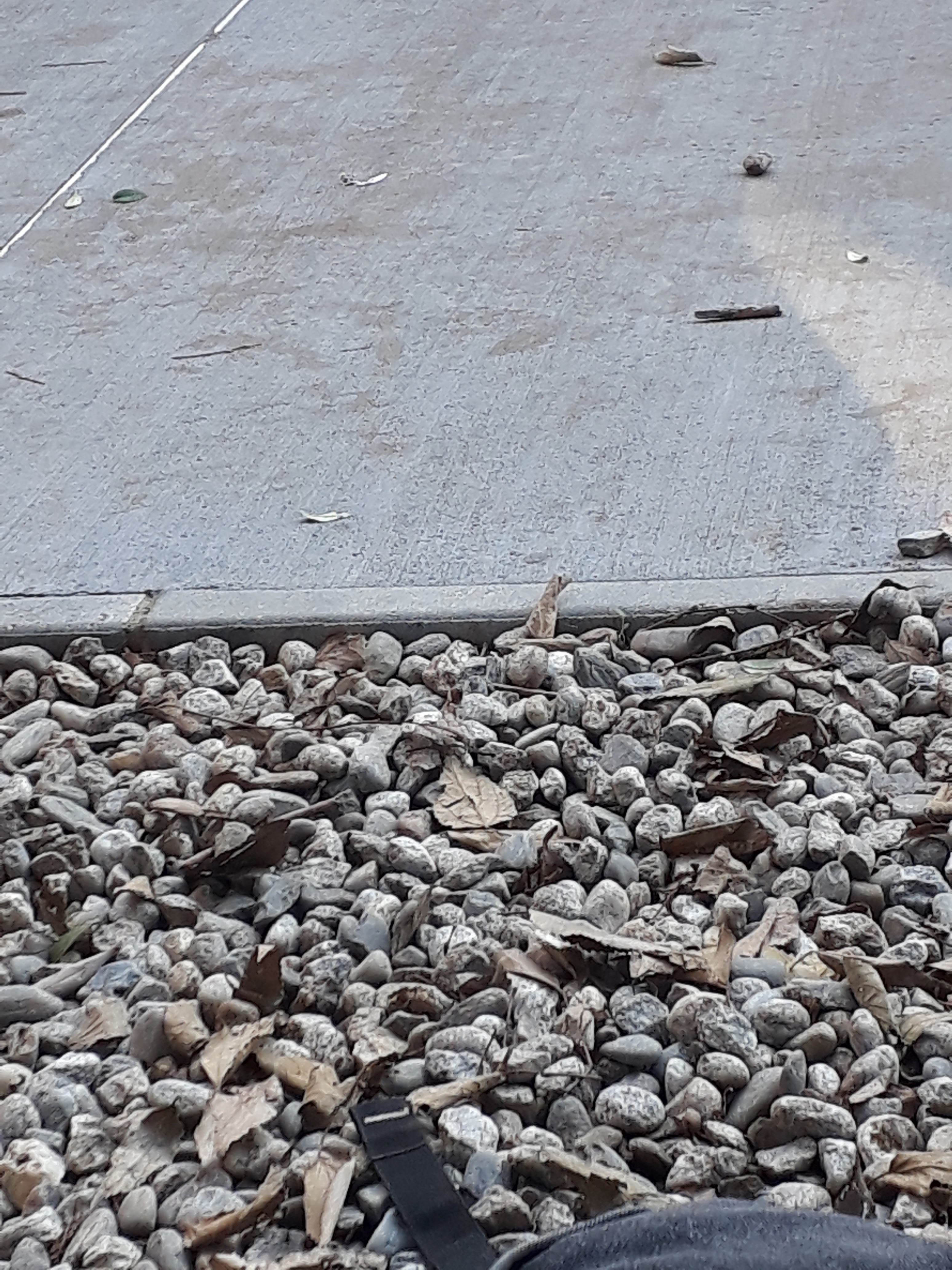 Photo n° 29 de l'avis de William.m fait le 11/12/2018 à 12:09