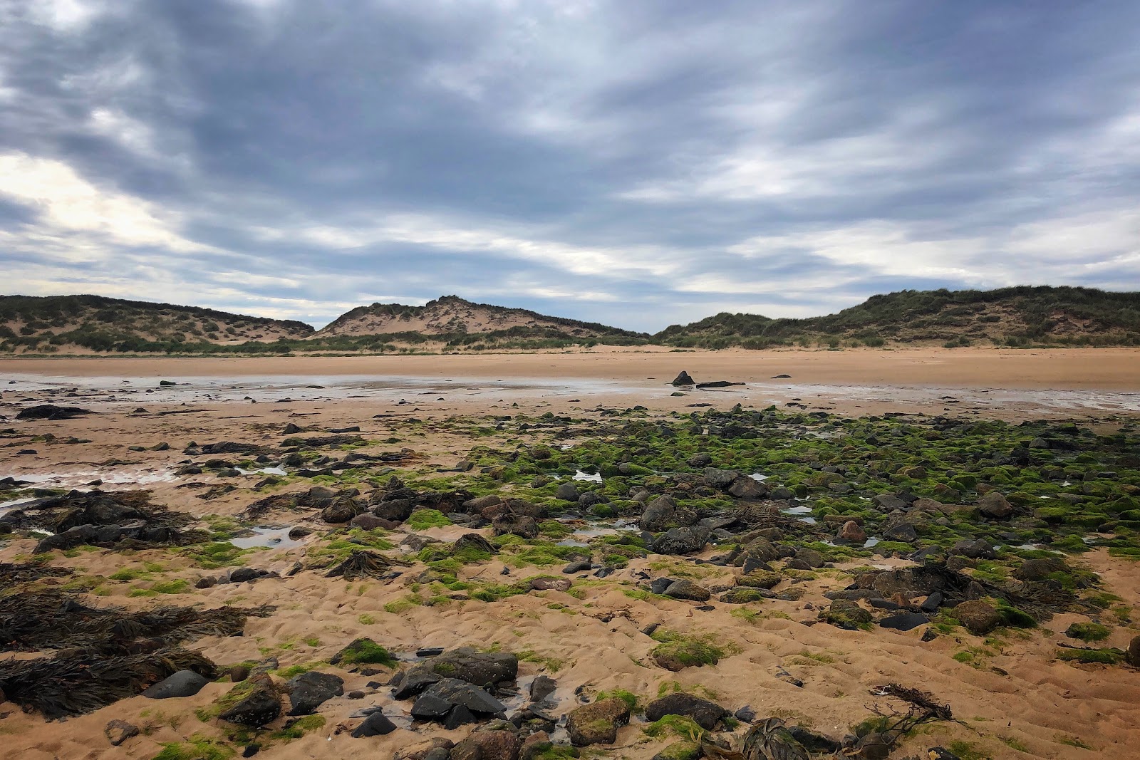 Rattray Beach photo #7