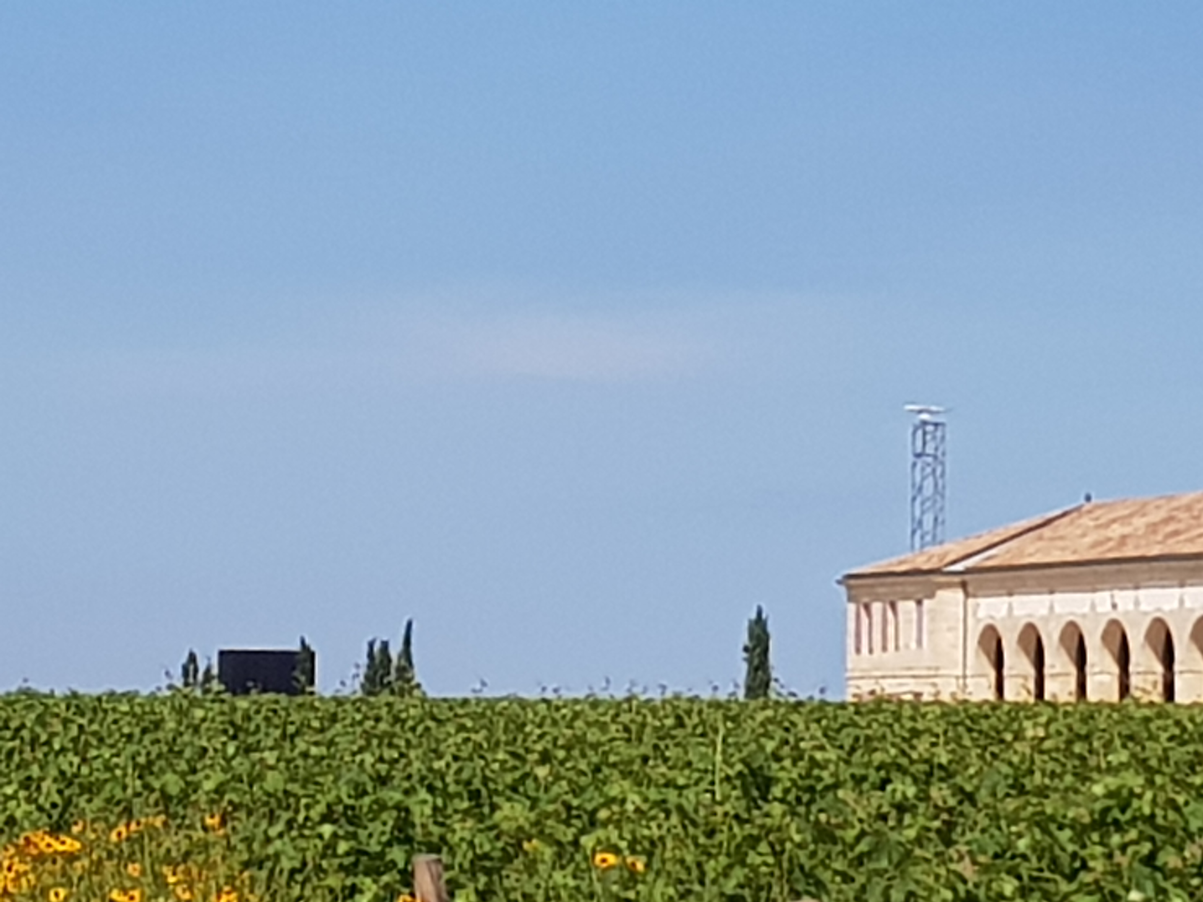 Photo n° 10 de l'avis de Richard.l fait le 21/06/2018 à 10:34