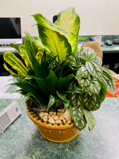 Florist «Suntree Florist & Gifts», reviews and photos, 6450 N Wickham Rd Suite 113, Melbourne, FL 32940, USA