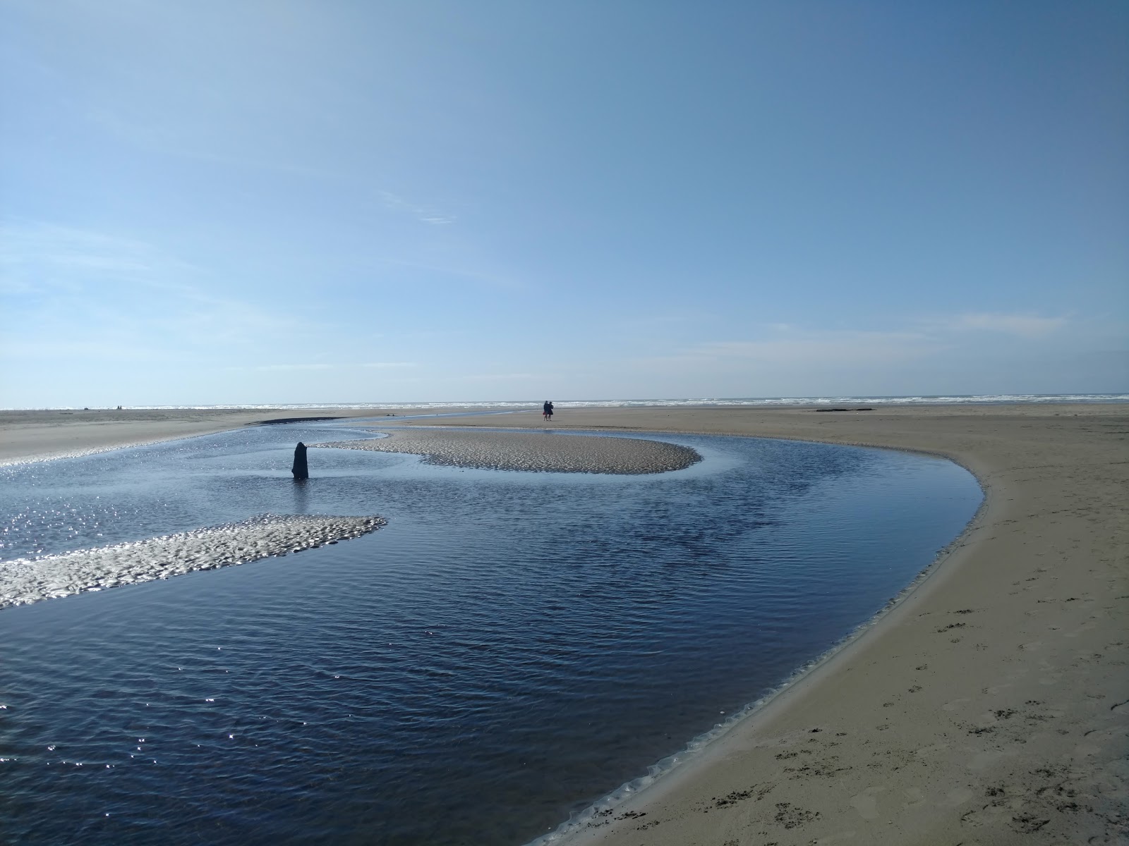 Pacific Beach photo #8