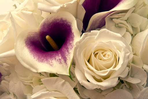 Florist «Valley Falls Flower Shop», reviews and photos, 244 Broad St, Cumberland, RI 02864, USA