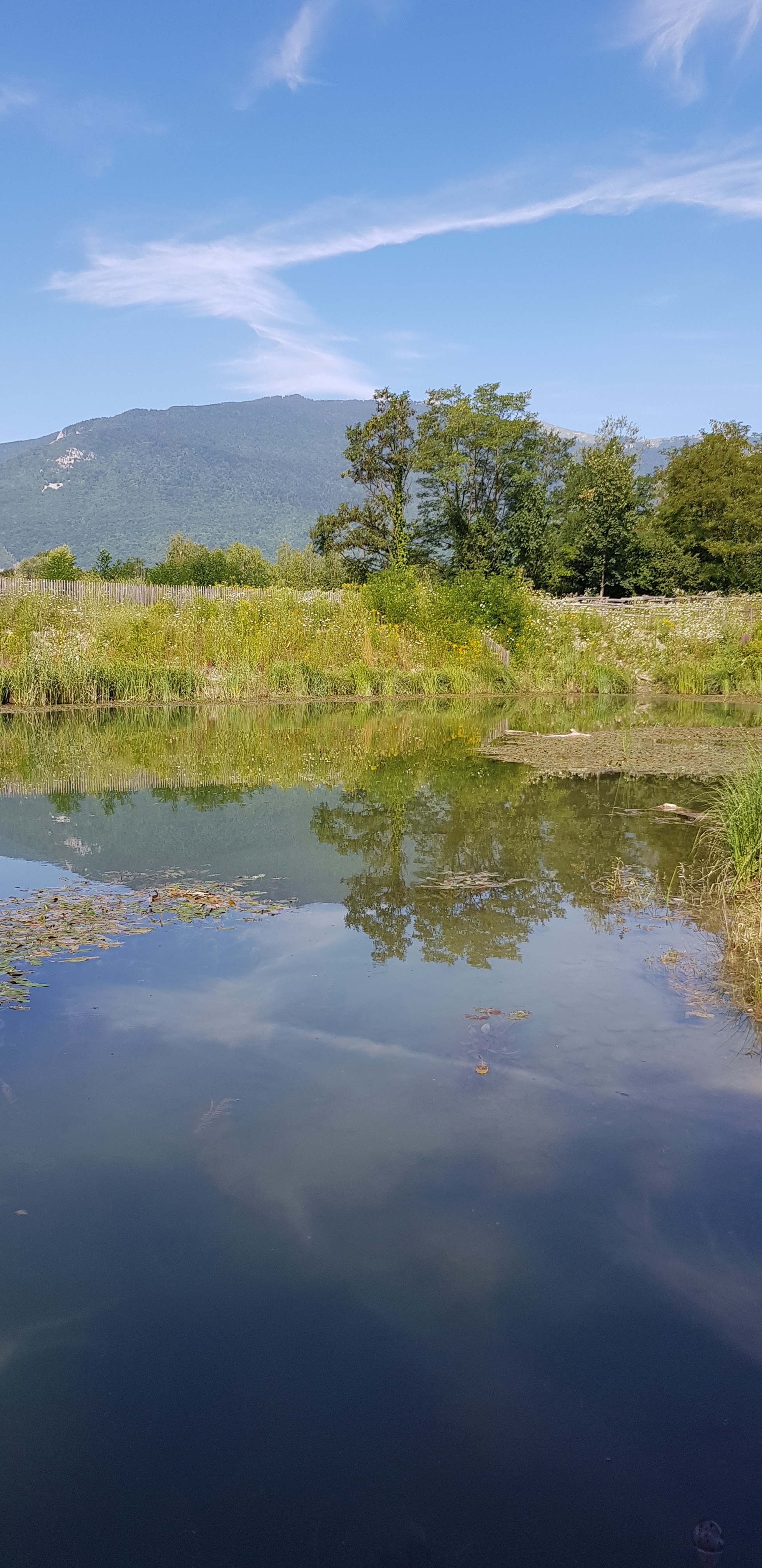 Photo n° 13 de l'avis de Val.i fait le 13/07/2018 à 14:12