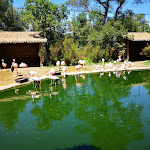 Photo n° 3 de l'avis de Cédric.e fait le 19/07/2018 à 09:31 pour Zoo de Labenne à Labenne