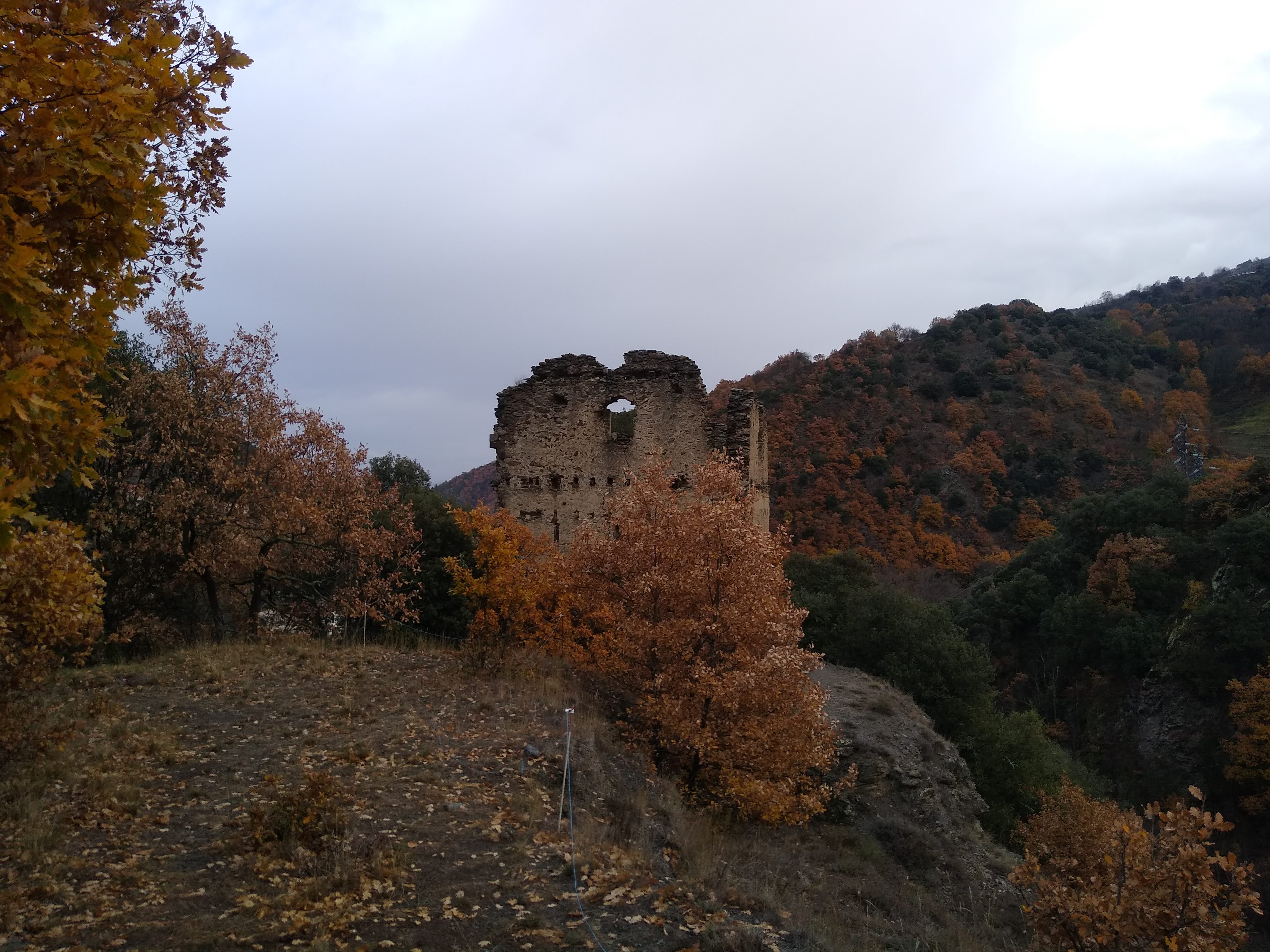 Photo n° 13 de l'avis de Vince. fait le 18/12/2022 à 11:29