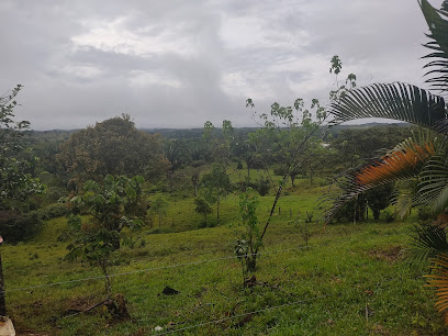 Hacienda el paujil