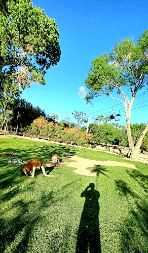 Zoo «Wildlife World Zoo, Aquarium & Safari Park», reviews and photos, 16501 W Northern Ave, Litchfield Park, AZ 85340, USA