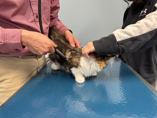 Klahaya Animal Hospital image