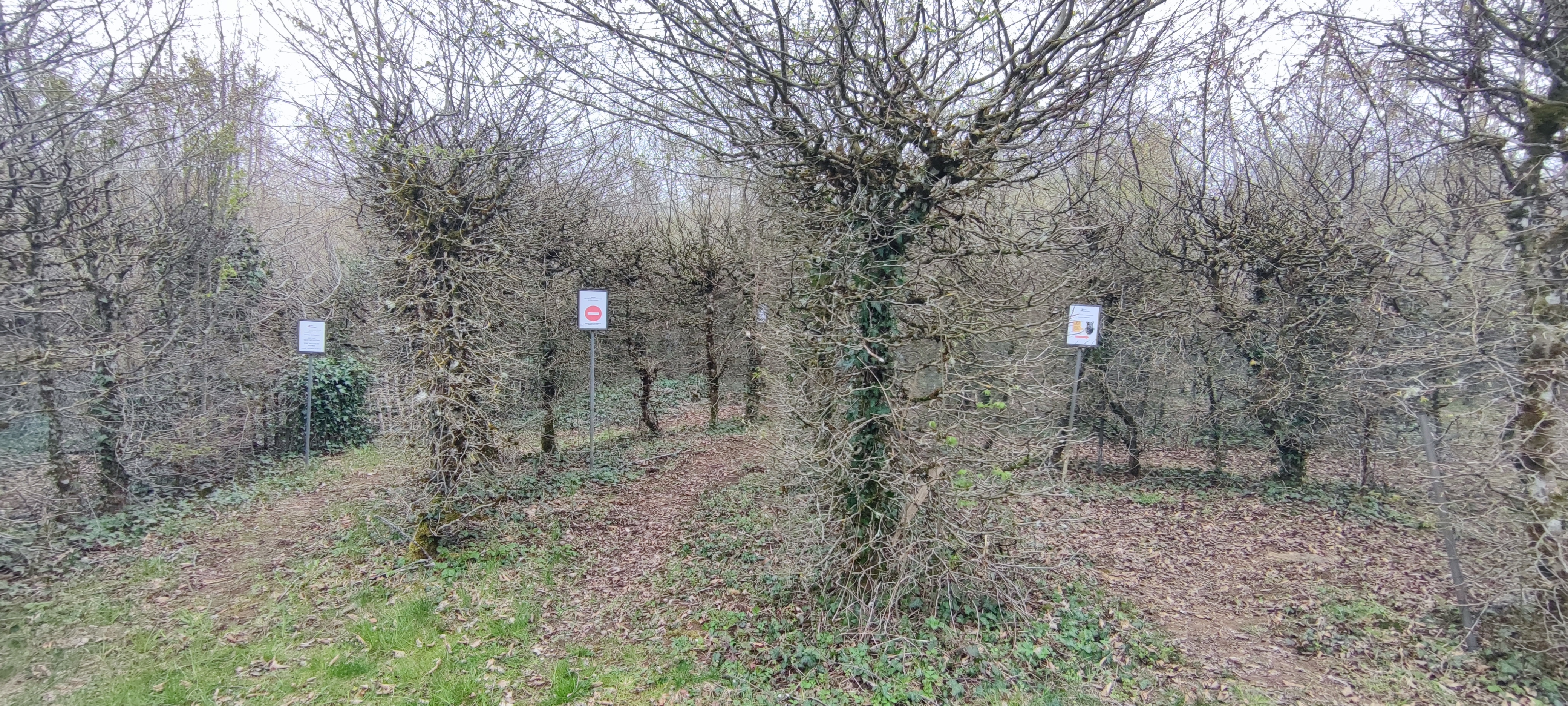 Photo n° 2 de l'avis de Michal.a fait le 10/04/2023 à 13:48