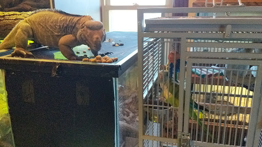 Reptile Store «Pets & Things», reviews and photos, 44825 Van Dyke, Utica, MI 48317, USA