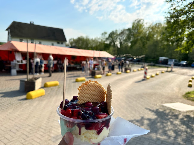 Wingbergerhoeve IJs & Fruit openingstijden