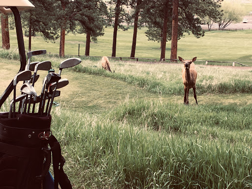 Golf Course «Evergreen Golf Course», reviews and photos, 29614 Upper Bear Creek Rd, Evergreen, CO 80439, USA