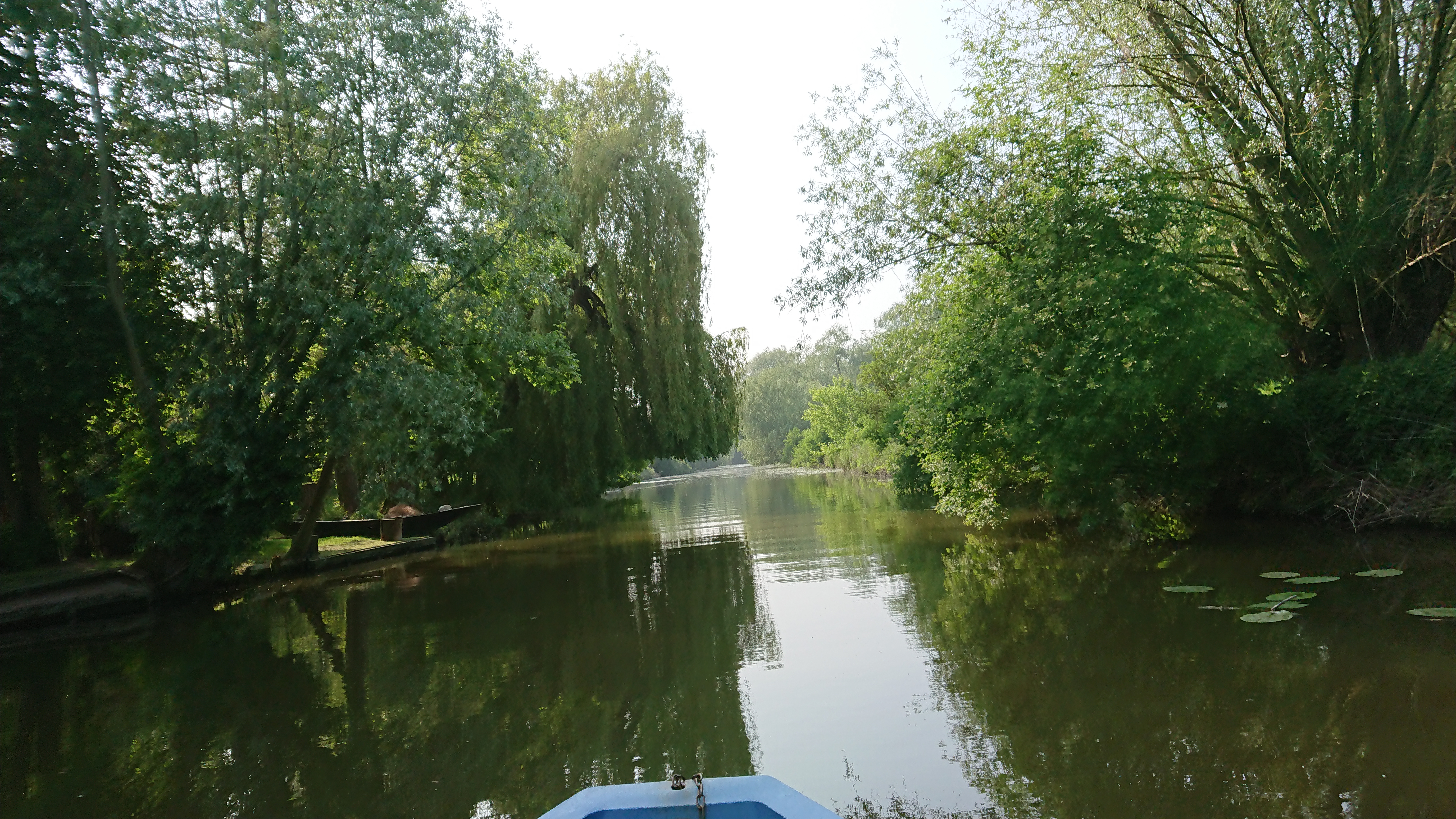 Photo n° 17 de l'avis de Perso.e fait le 20/05/2018 à 16:43