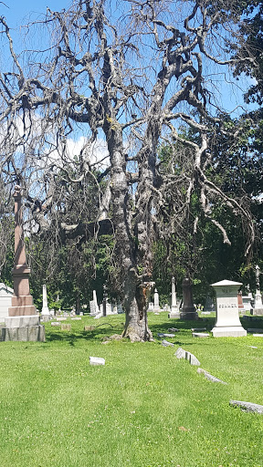 Cemetery «Crown Hill Funeral Home and Cemetery», reviews and photos, 700 38th St, Indianapolis, IN 46208, USA