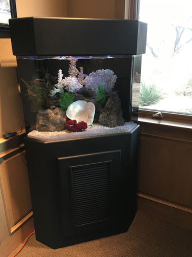Aquarium «Artistic Aquariums, Inc», reviews and photos, 3400 N Arizona Ave #111, Chandler, AZ 85225, USA