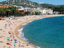 Foto di Platja de Fenals - luogo popolare tra gli intenditori del relax