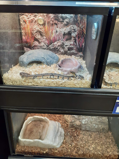 Pet Supply Store «PetSmart», reviews and photos, 1380 Fitzgerald Dr, Pinole, CA 94564, USA