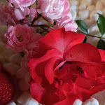 Photo n°6 de l'avis de Xela. fait le 09/07/2023 à 21:46 sur le  Ristorante Antica Gardumo à Ronzo-Chienis