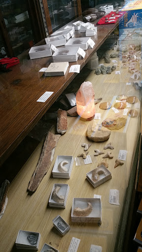 Toy Store «The Nature And Discovery Store,Inc.», reviews and photos, 19 Hughes St, New Ringgold, PA 17960, USA