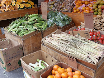 Sun Fresh Fish Market