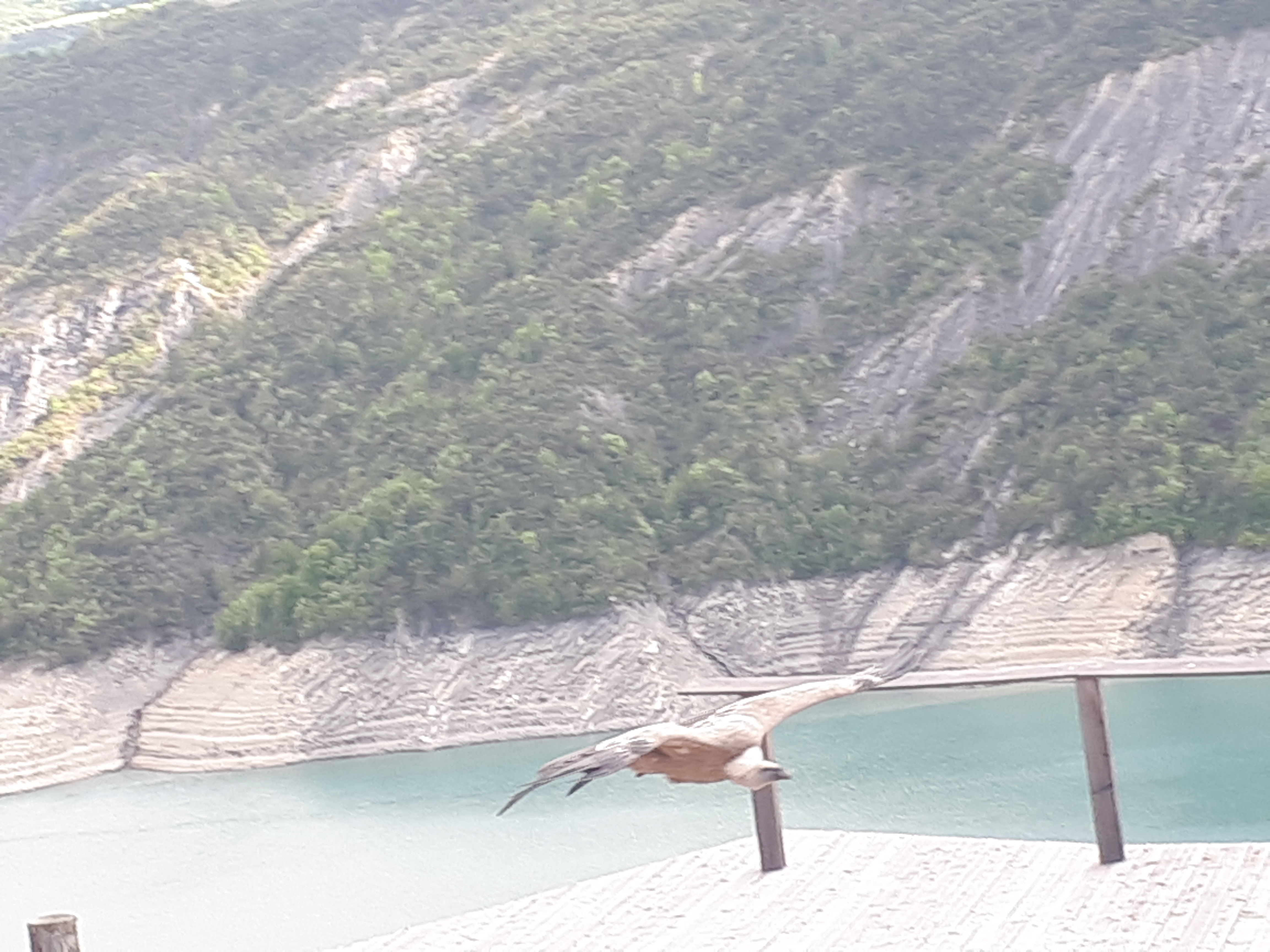 Photo n° 15 de l'avis de Nath.� fait le 16/05/2018 à 21:32