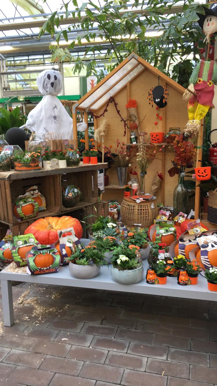 Photo n° 3 de l'avis de Rouba.m fait le 23/10/2019 à 18:32