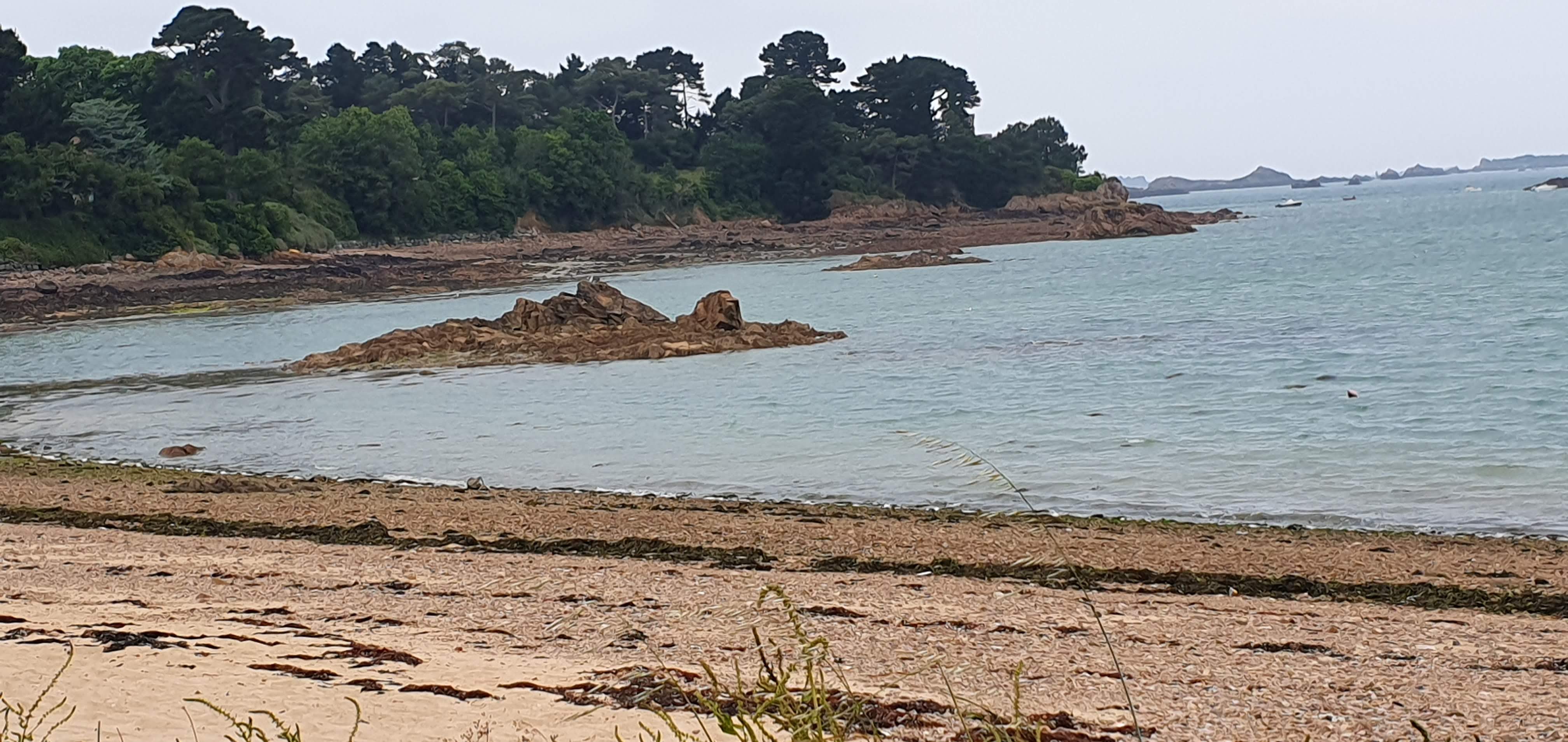 Photo n° 7 de l'avis de Philguegp.h fait le 14/06/2023 à 21:36