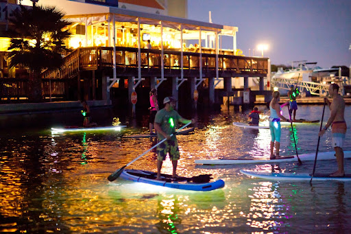 Surf Shop «Solstice Sports», reviews and photos, 408 N Howard Ave, Tampa, FL 33606, USA