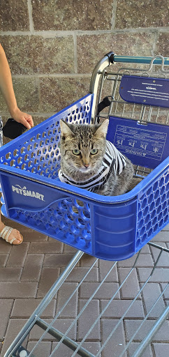 Pet Supply Store «PetSmart», reviews and photos, 111 Nassau Park Blvd, Princeton, NJ 08540, USA