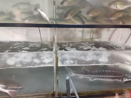 Asian Grocery Store «Vinh Phat Market», reviews and photos, 6105 Stockton Blvd, Sacramento, CA 95824, USA