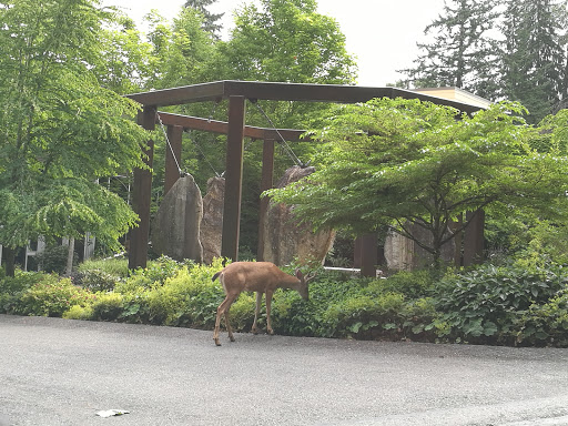 Community Center «South Bellevue Community Center», reviews and photos, 14509 SE Newport Way, Bellevue, WA 98006, USA