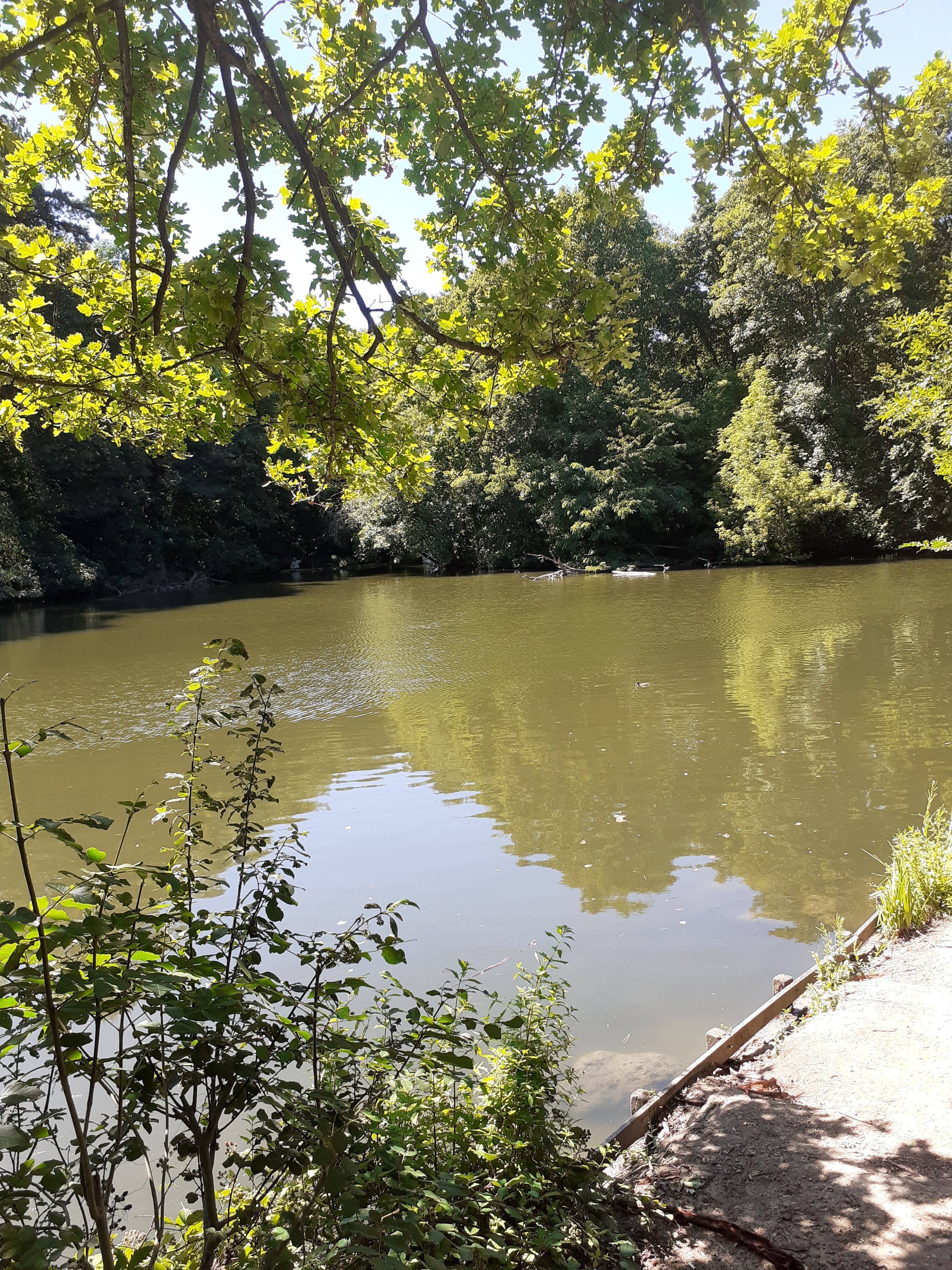 Photo n° 7 de l'avis de Noé.g fait le 01/12/2022 à 16:45