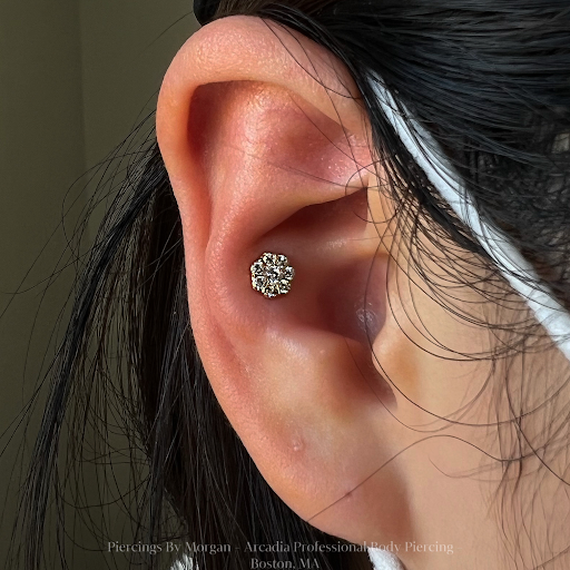 Explore black and grey tattoo filler ideas, creative tattoo ideas in Boston, available at Arcadia Body Piercing