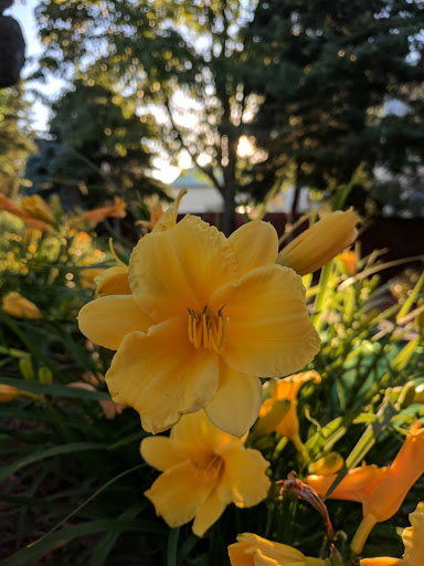 Amusement Park «Magic Mountain Fun Center - Polaris», reviews and photos, 8350 Lyra Dr, Columbus, OH 43240, USA