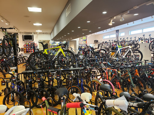 Bicycle Store «Cycle World Miami», reviews and photos, 8476 SW 40th St, Miami, FL 33155, USA